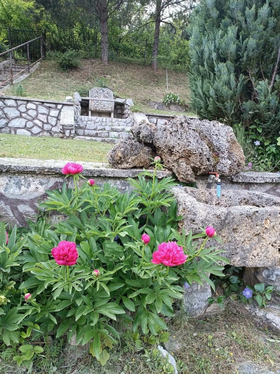 Garden, Garden, Garden view