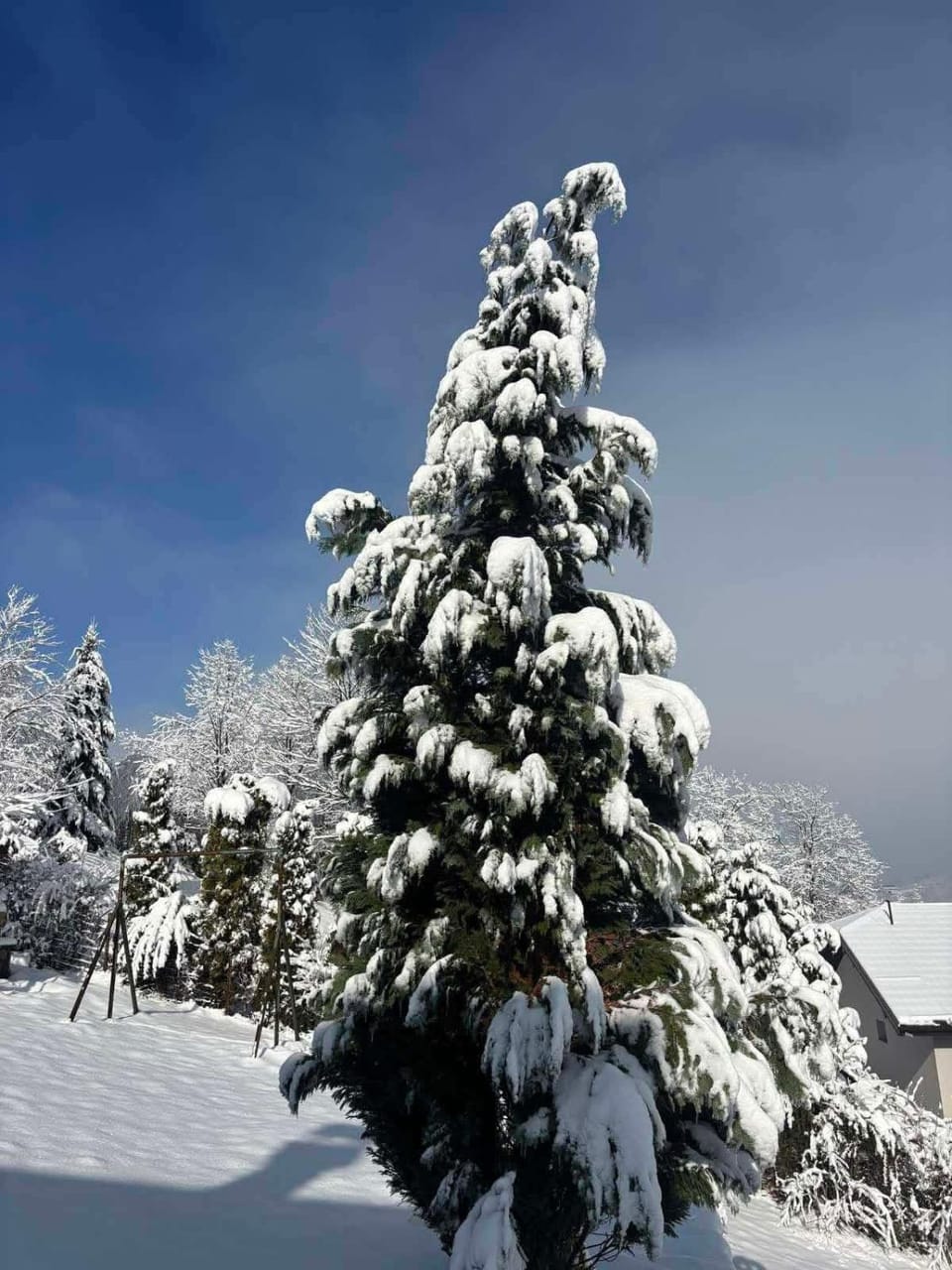 Winter, Garden, Mountain view