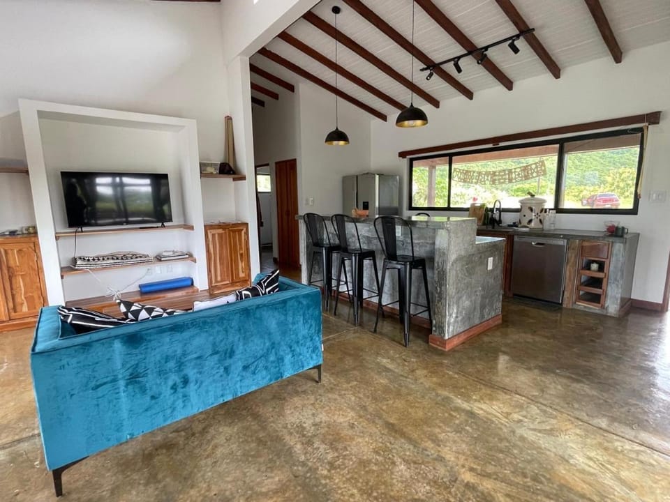 Living room, kitchen