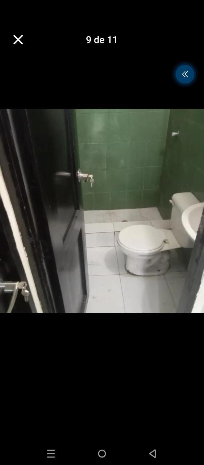 Toilet, Bathroom, bidet