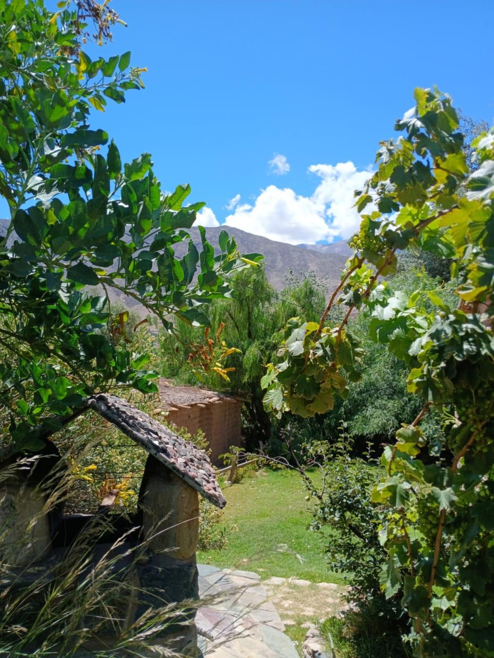 Garden view