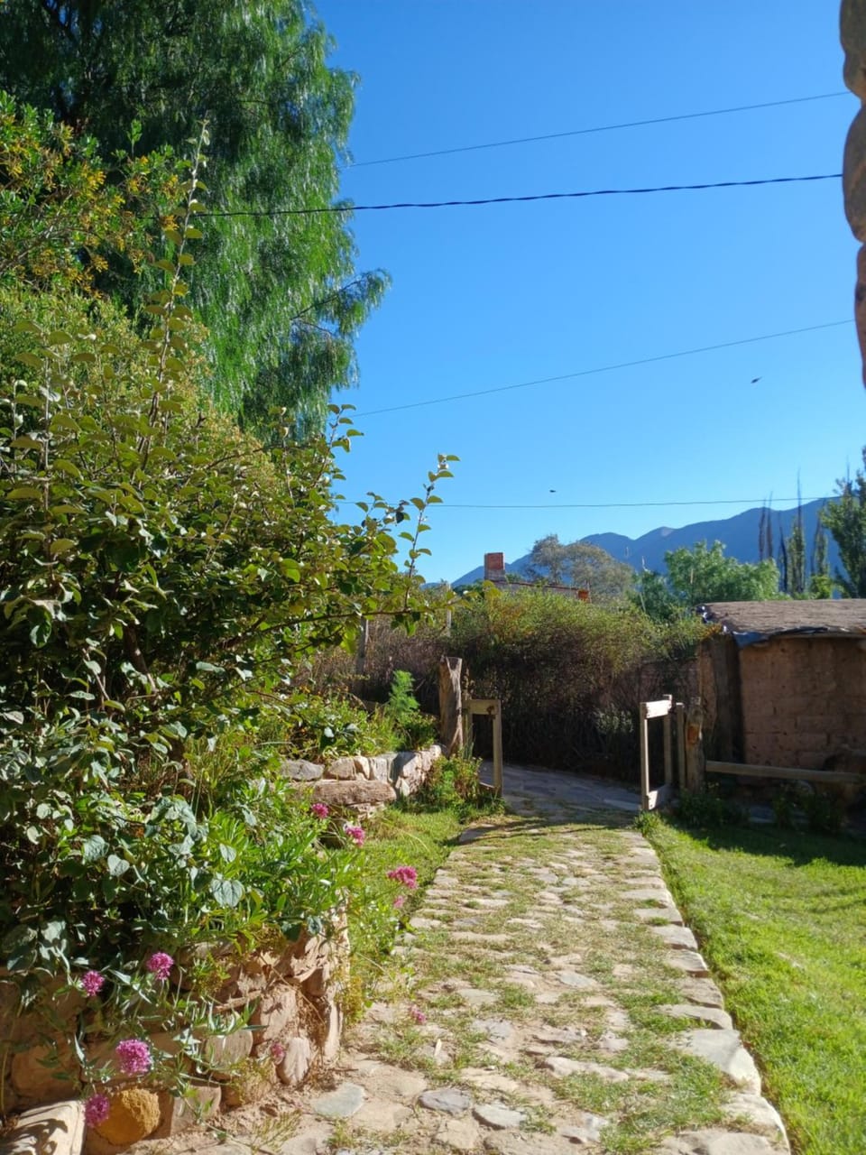Garden view