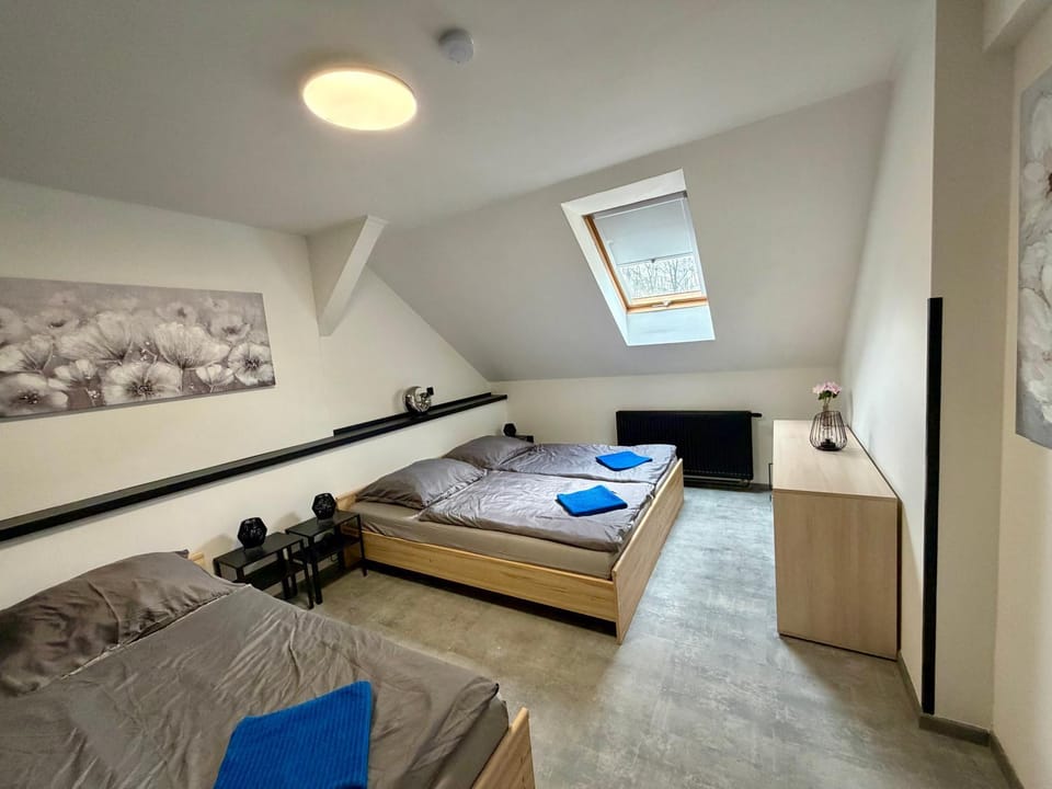 Teplice apartments DELUXE Apartment in Saxony