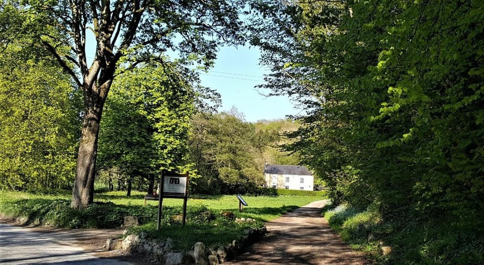 Property building, Garden, View (from property/room), Quiet street view
