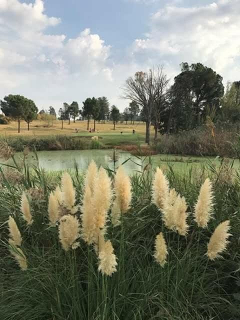 Golfcourse