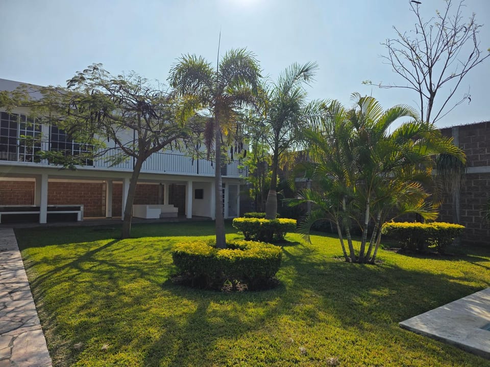 Natural landscape, Garden, Garden, Garden view