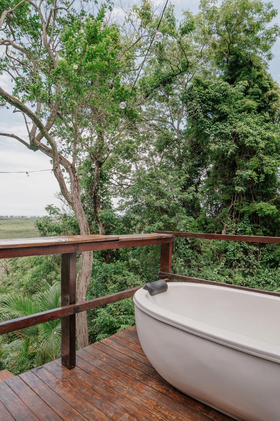 Natural landscape, View (from property/room), Balcony/Terrace, Open Air Bath, Bath