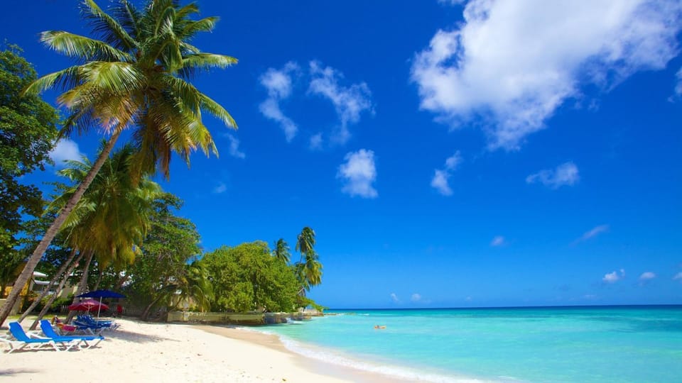 The Island Nook Barbados - Poolside Retreat Steps from Dover Beach & St Lawrence Gap Apartment in Oistins