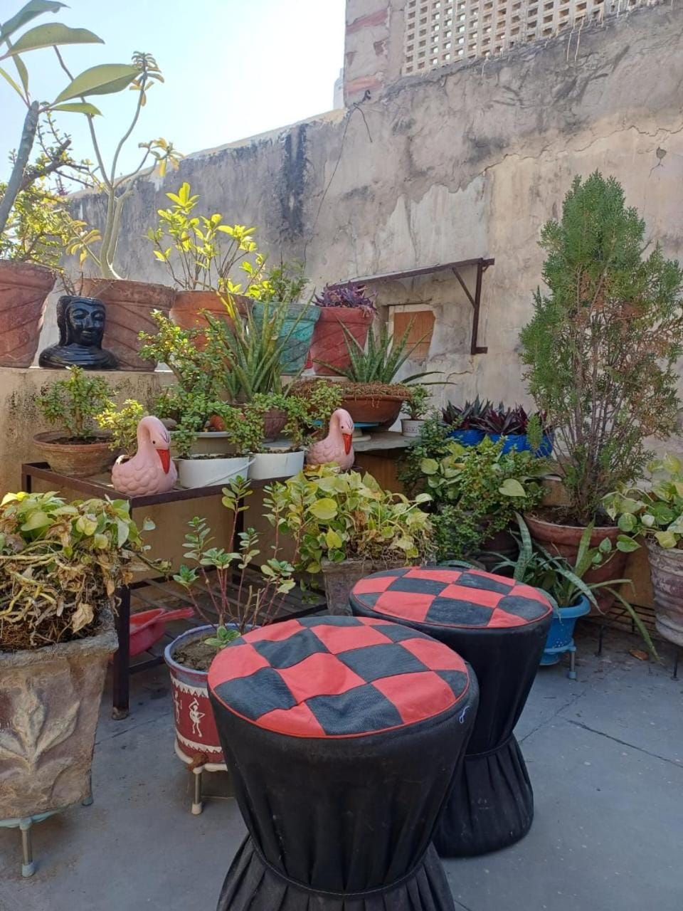 Triangle Home Stay Villa in Rajasthan