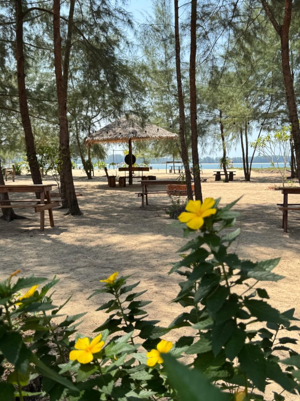 Garden, Beach