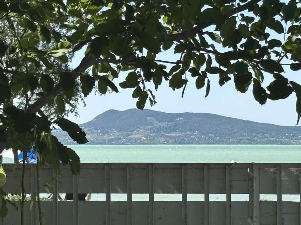 Day, Natural landscape, Fishing, Garden, View (from property/room), Beach, Pets, Garden view, Lake view, children, young children, Open Air Bath, internet, air conditioner