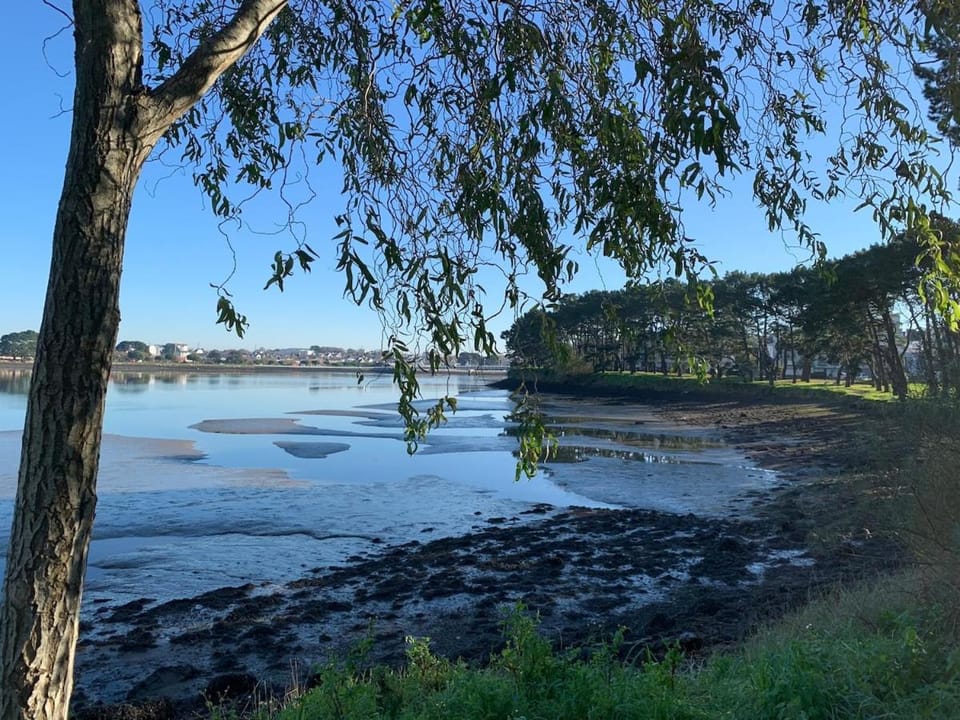 T3 - Charme, confort et vue Scorff proche gare Apartment in Lorient