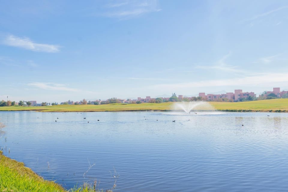 Natural landscape, Lake view