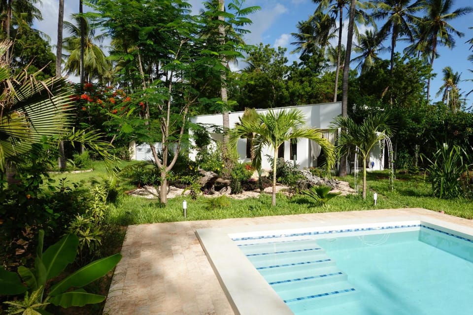 Spring, Day, Natural landscape, Garden, Garden view, Swimming pool