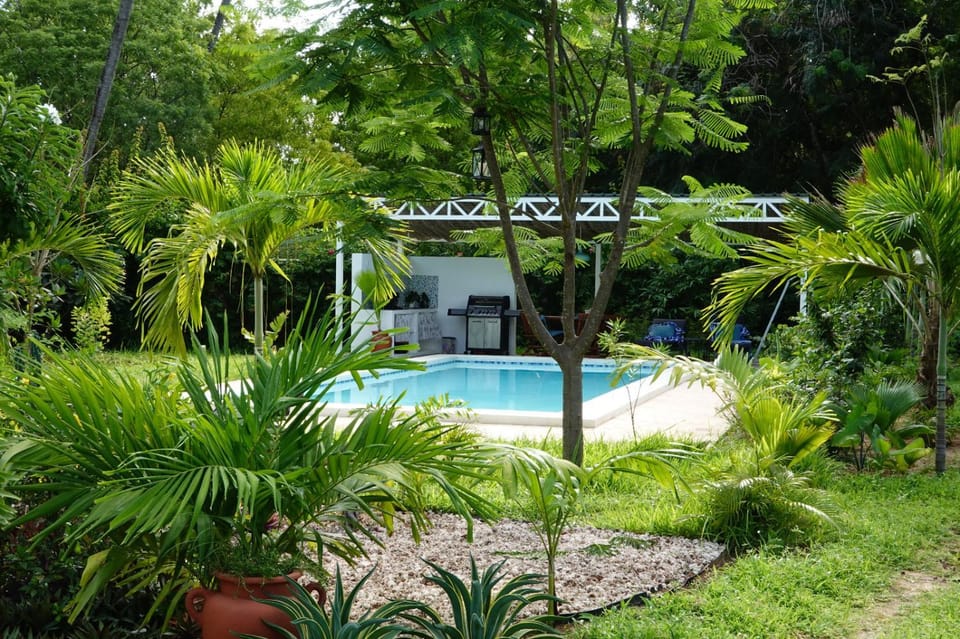 Spring, Day, Garden, Garden view, Pool view, Swimming pool