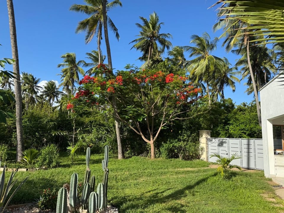 Spring, Natural landscape, Garden, Garden view