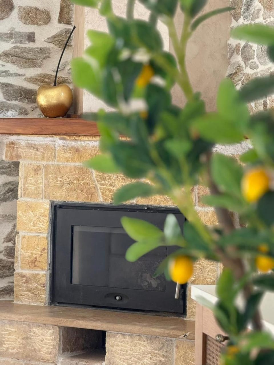 White Stone Apartments with Balcony Apartment in Nikiti