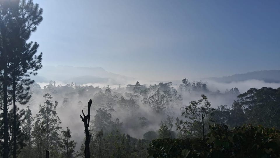 Natural landscape, Sunrise