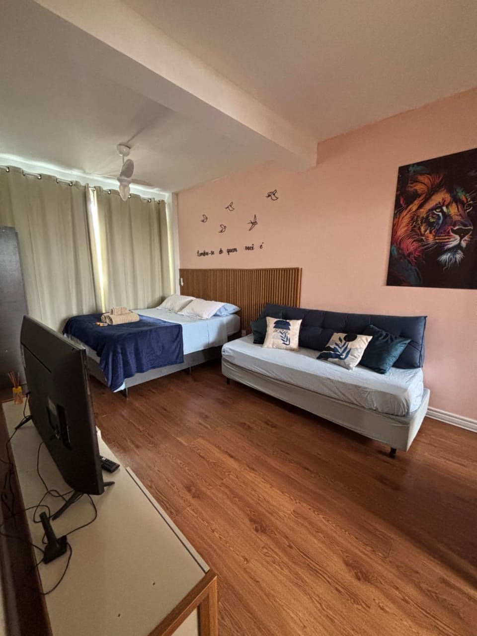 Photo of the whole room