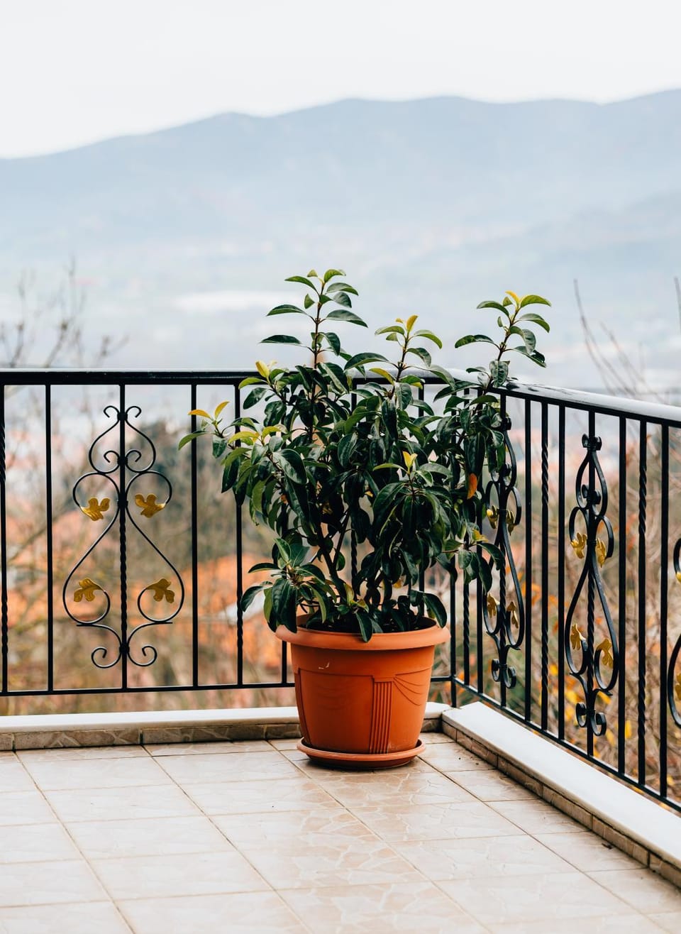 Balcony/Terrace, City view