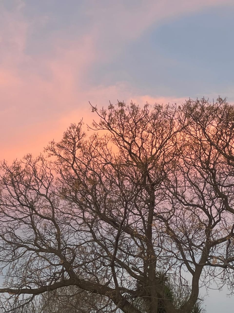 Natural landscape