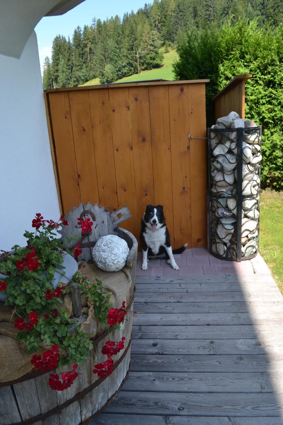 Facade/entrance, Pets