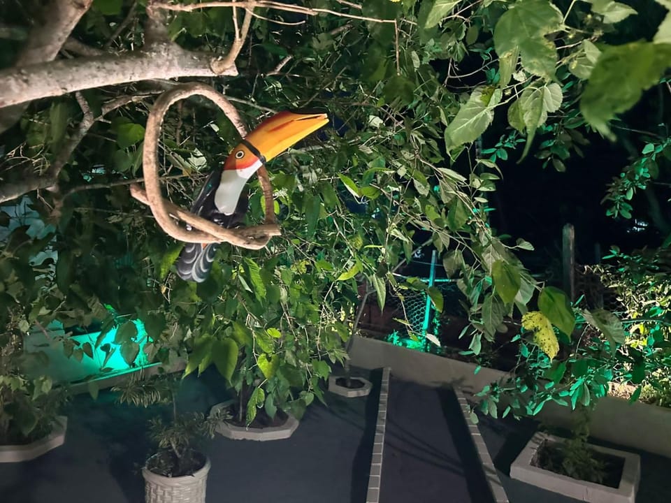 Night, Garden