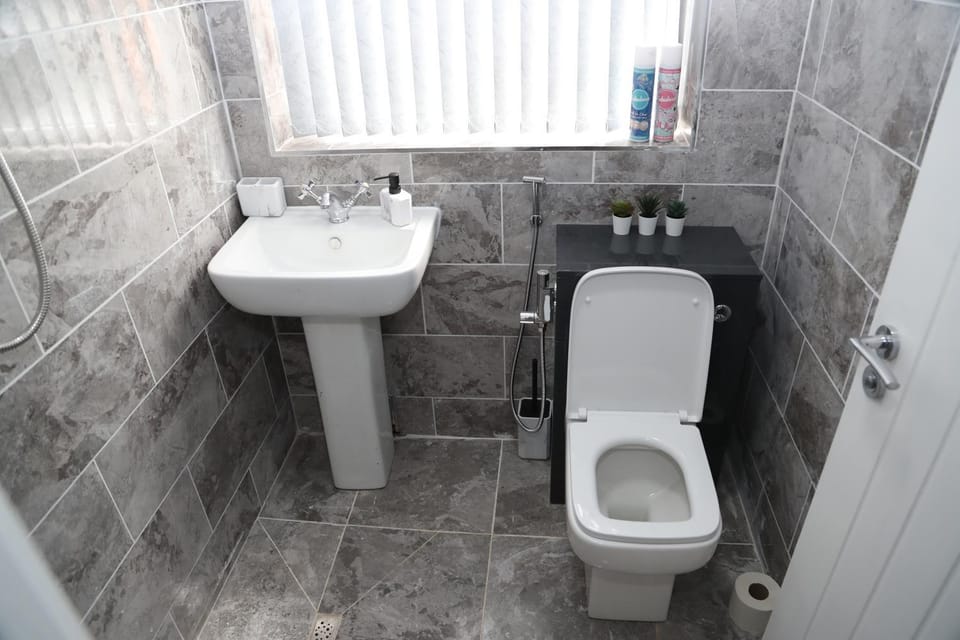 Toilet, Bathroom, Decorative detail, bidet, acessibility