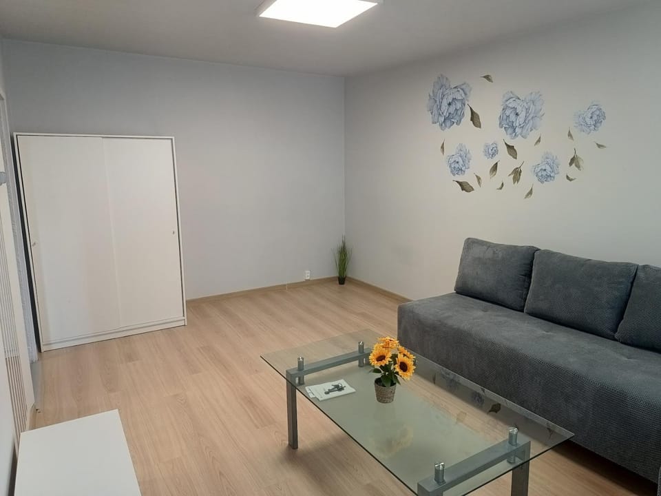 Bed, Living room, wardrobe