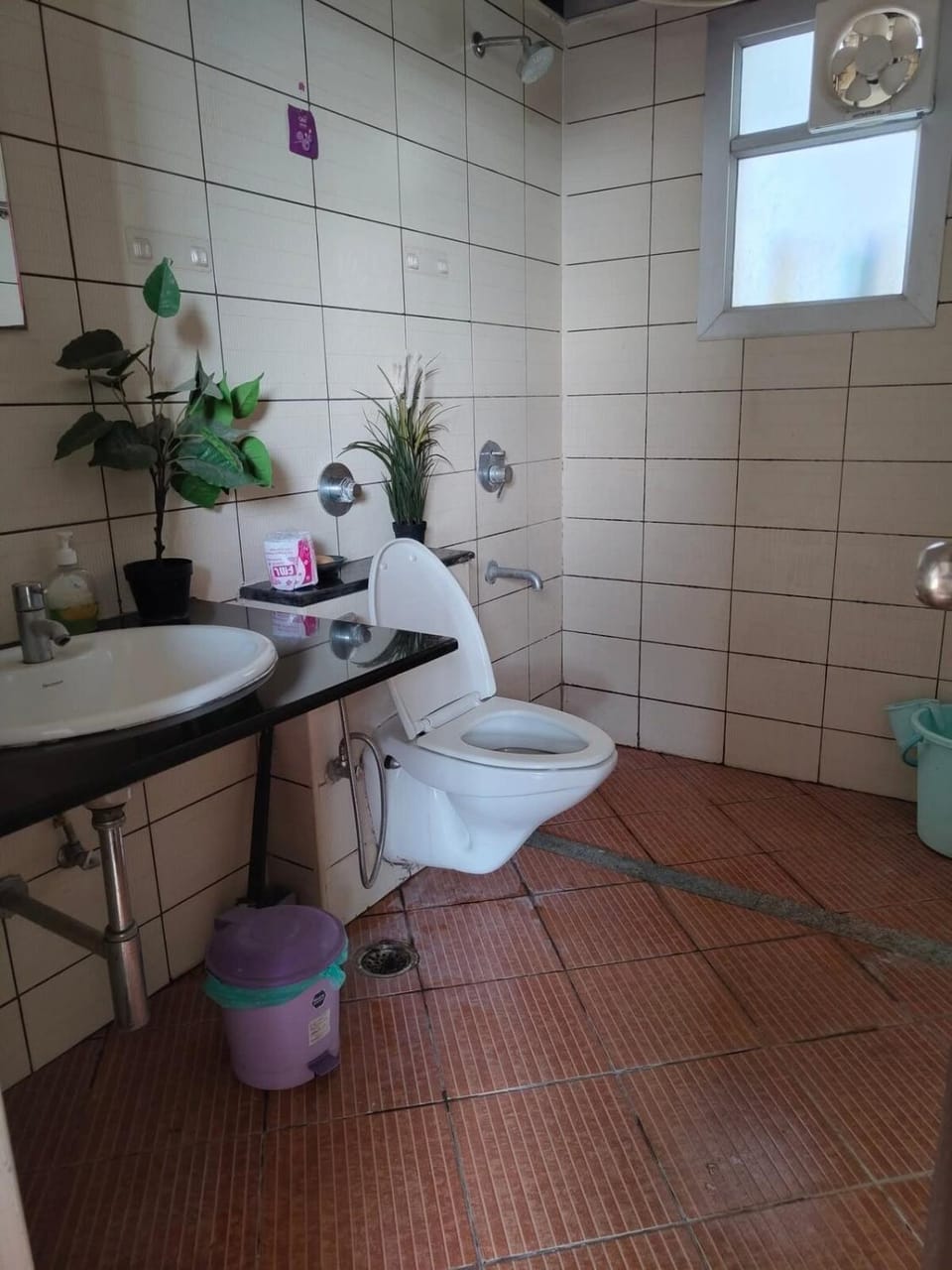 Shower, Toilet, Bathroom