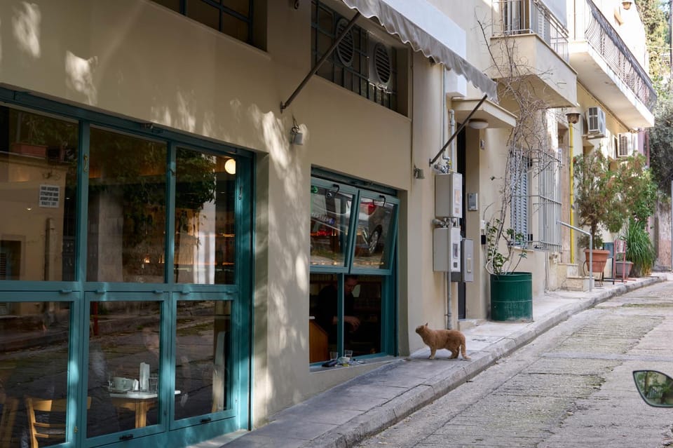 Facade/entrance, Neighbourhood