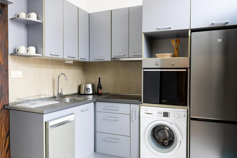 Parkside Garni Apartment in Novi Sad