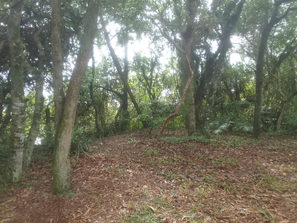 Ibira Camping Campground/ 
RV Resort in Imbituba