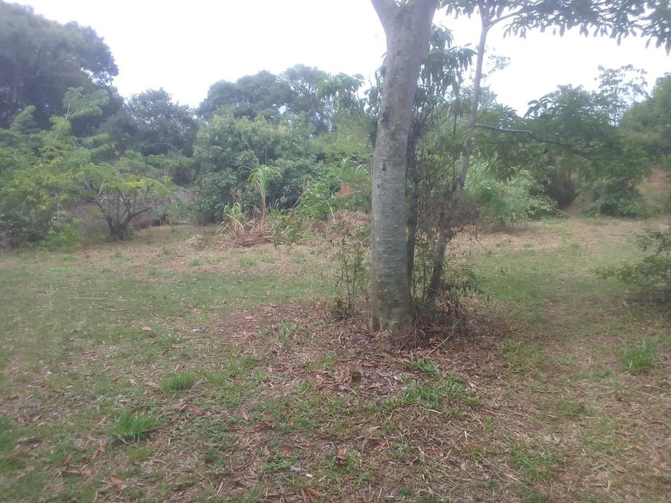 Ibira Camping Campground/ 
RV Resort in Imbituba