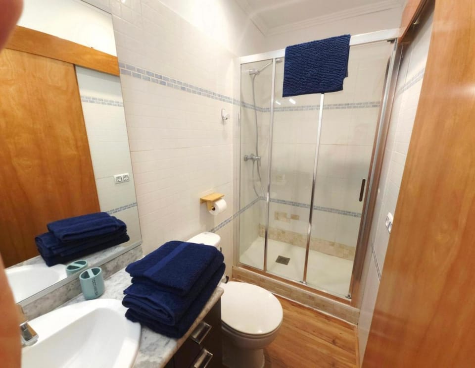 Shower, Toilet, Bathroom, towels