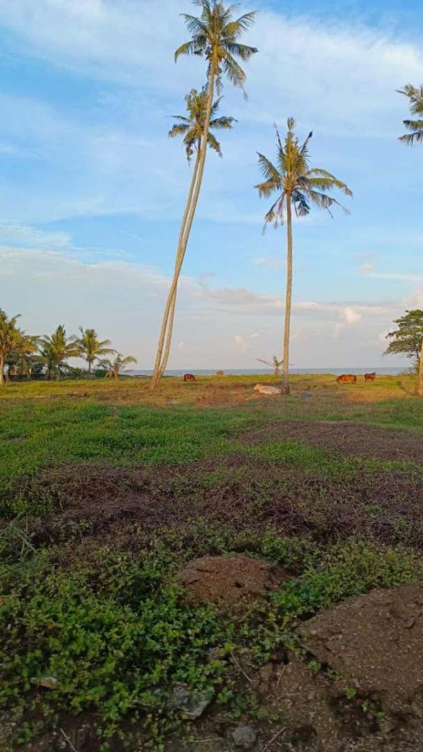 Alhambra Beach Staycation - Bachok House in Malaysia