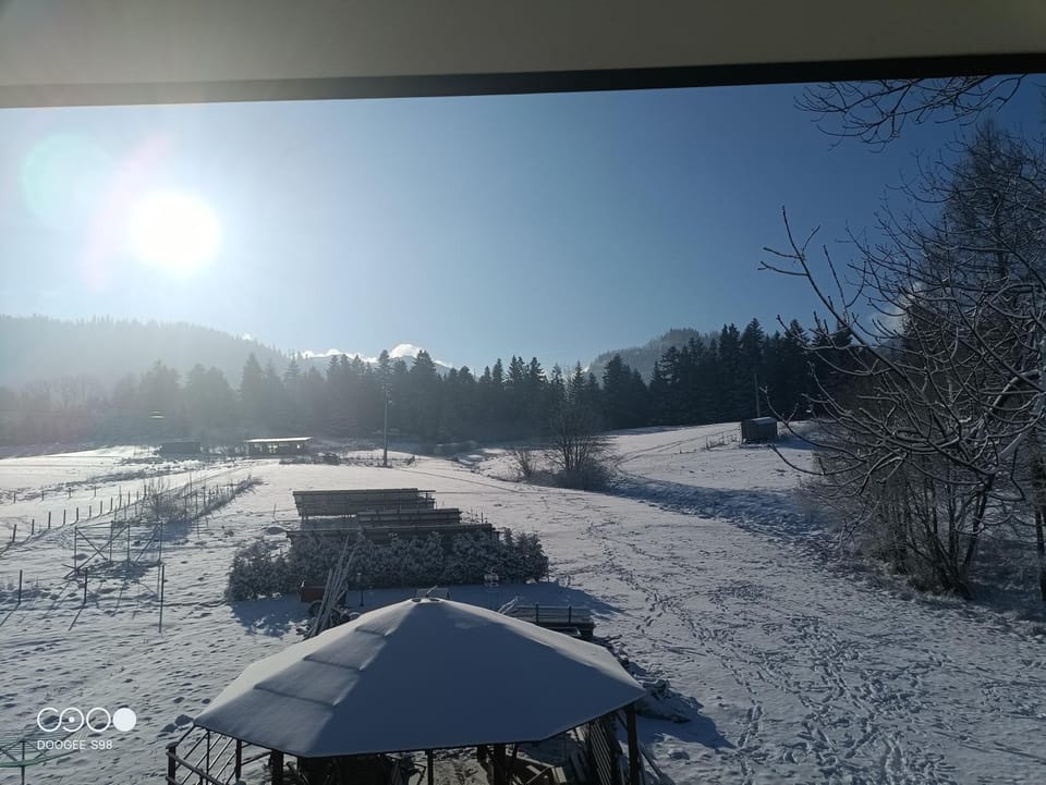 Winter, Mountain view