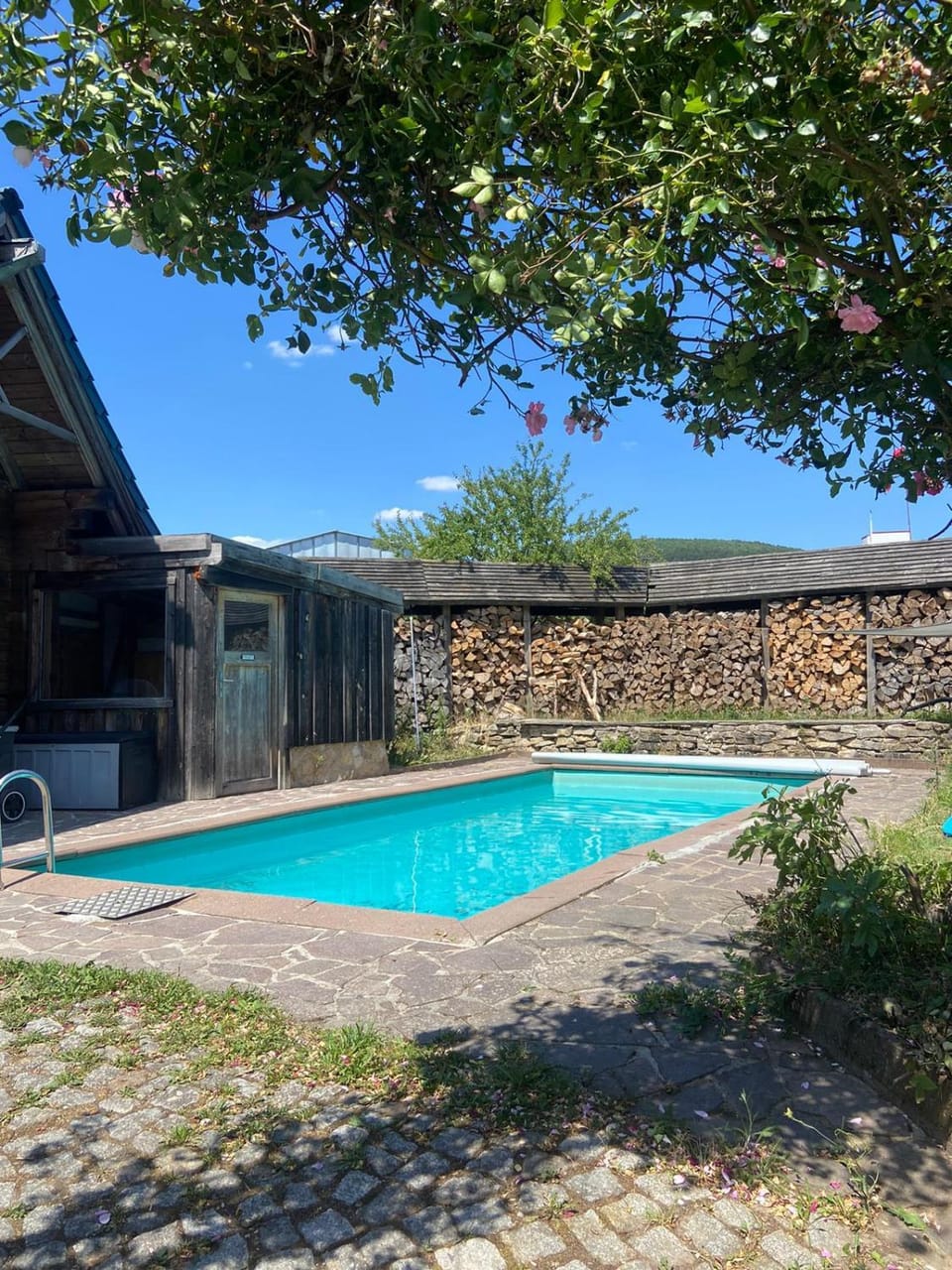 Day, Pool view, Swimming pool