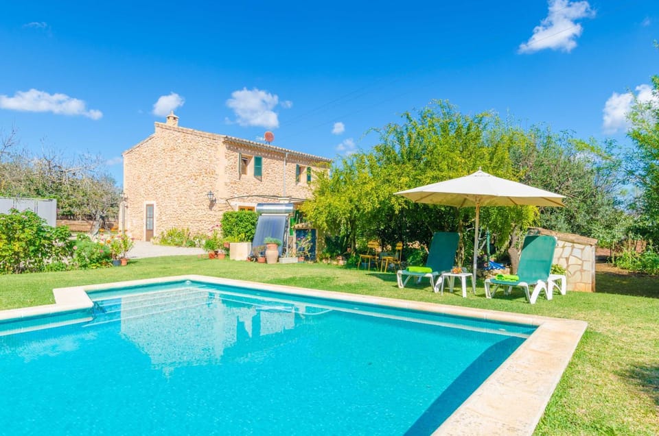 Garden, Swimming pool