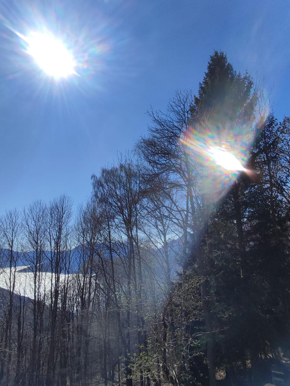 Mountain view