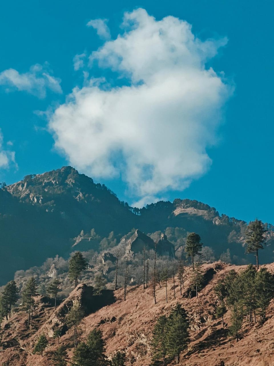 Mountain view