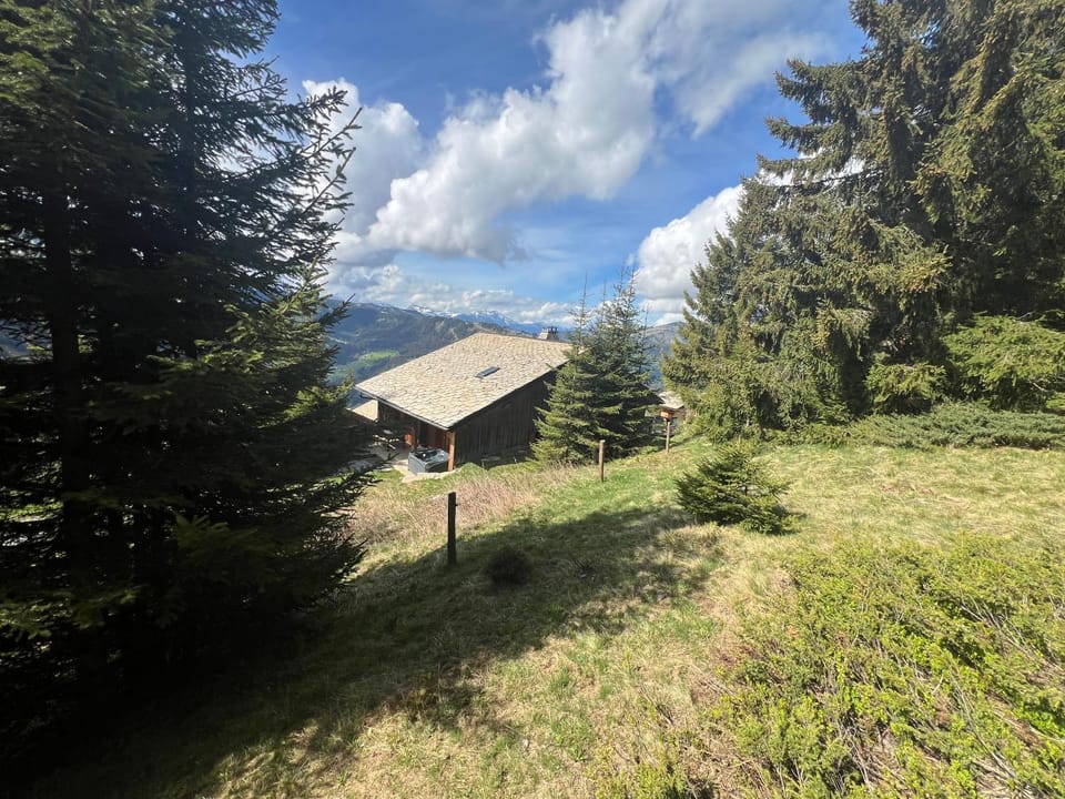 Chalet de ZORE Chalet in Montriond