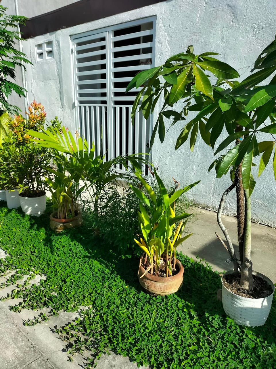 Spring, Garden, Garden view