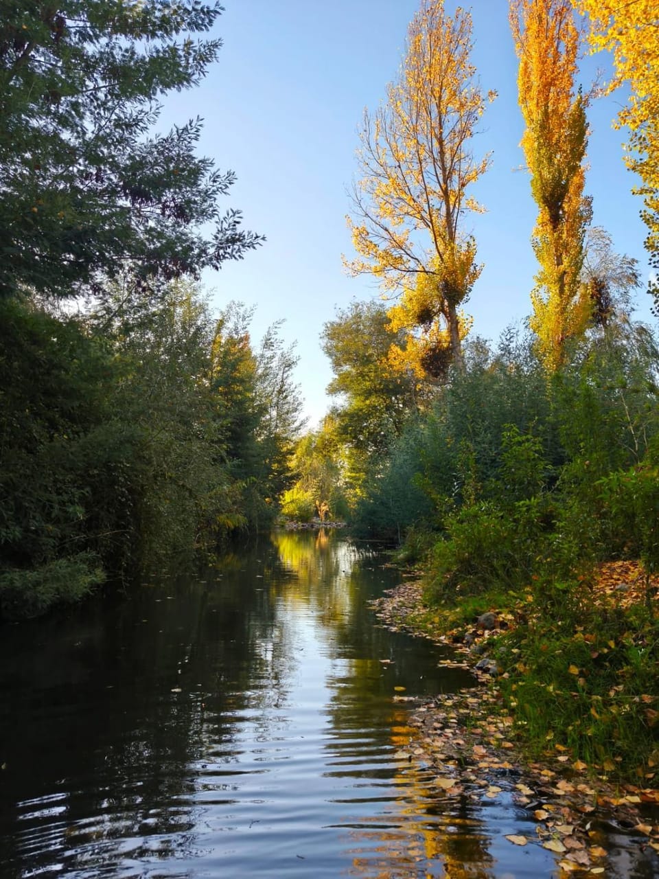 River view