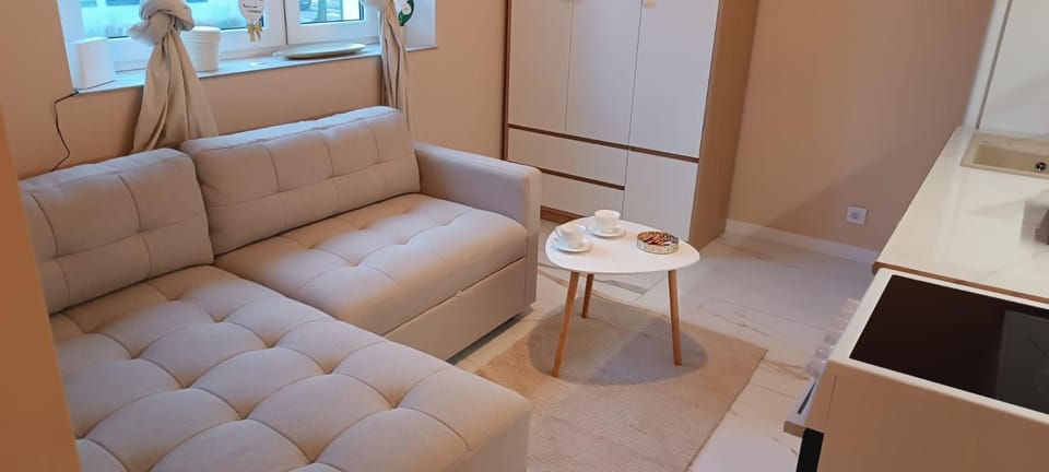 Gold apartament Apartment in Poznan