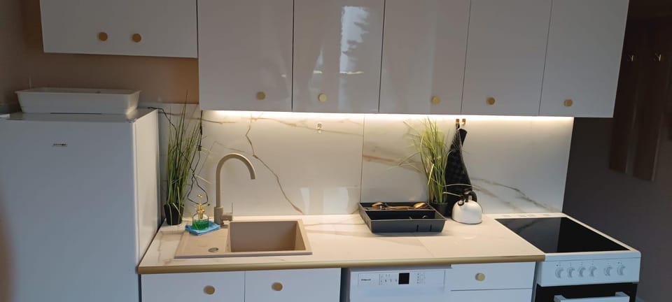 Gold apartament Apartment in Poznan