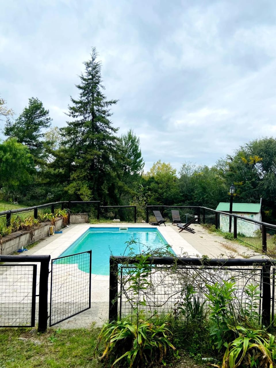 Natural landscape, Garden, Garden view, Swimming pool