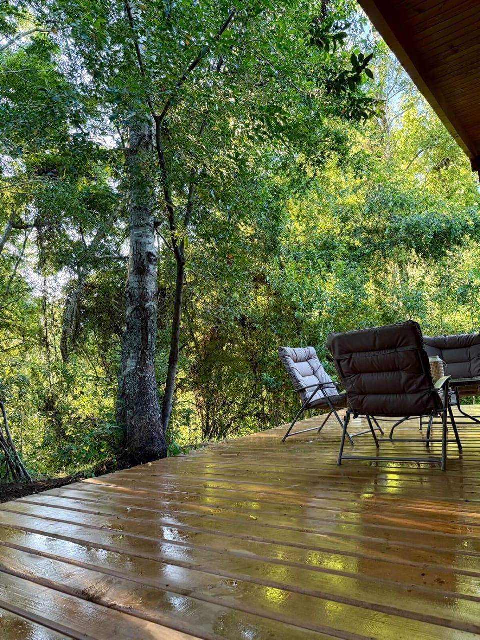 Patio, Balcony/Terrace