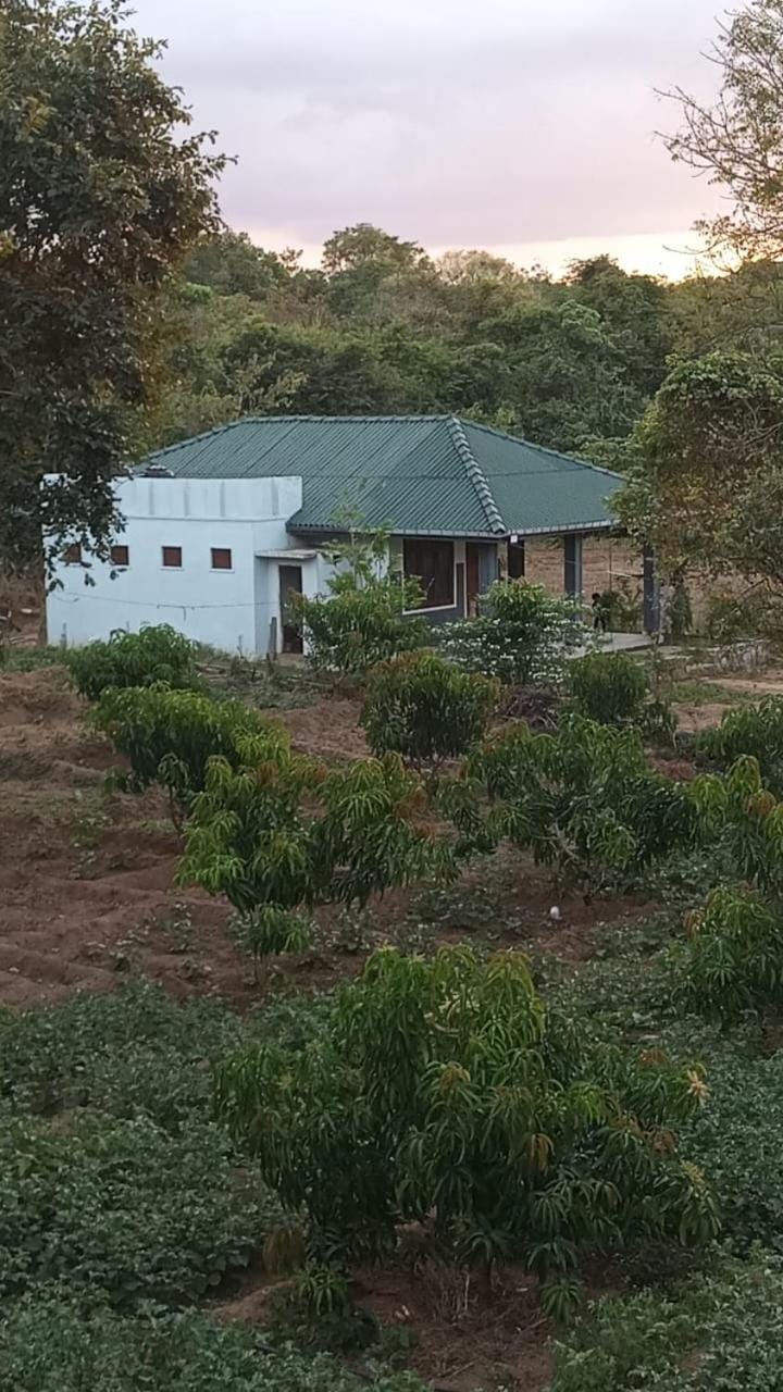 Wild Night Hostel Sigiriya Hostel in Dambulla