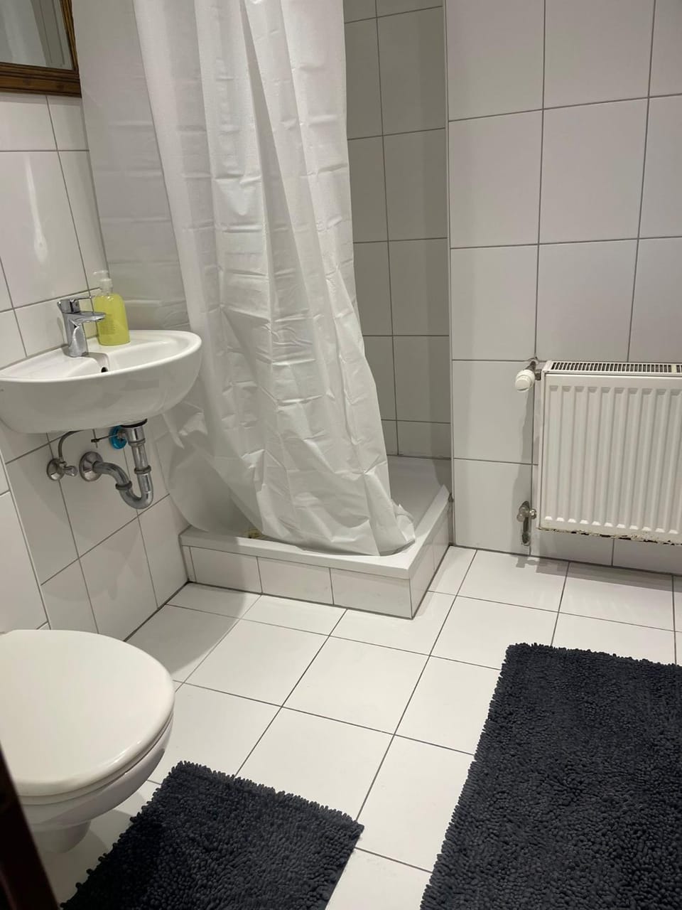 Haus zum Bacchus Privatezimmer near Bahnhof Römisches Theater Mainz Vacation rental in Mainz